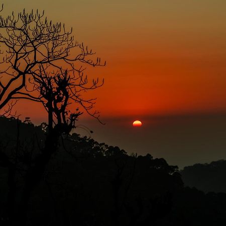 Stayvista At Sunset Springs With Pool & Views Nainital Luaran gambar